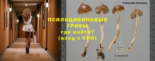 MDMA Горно-Алтайск